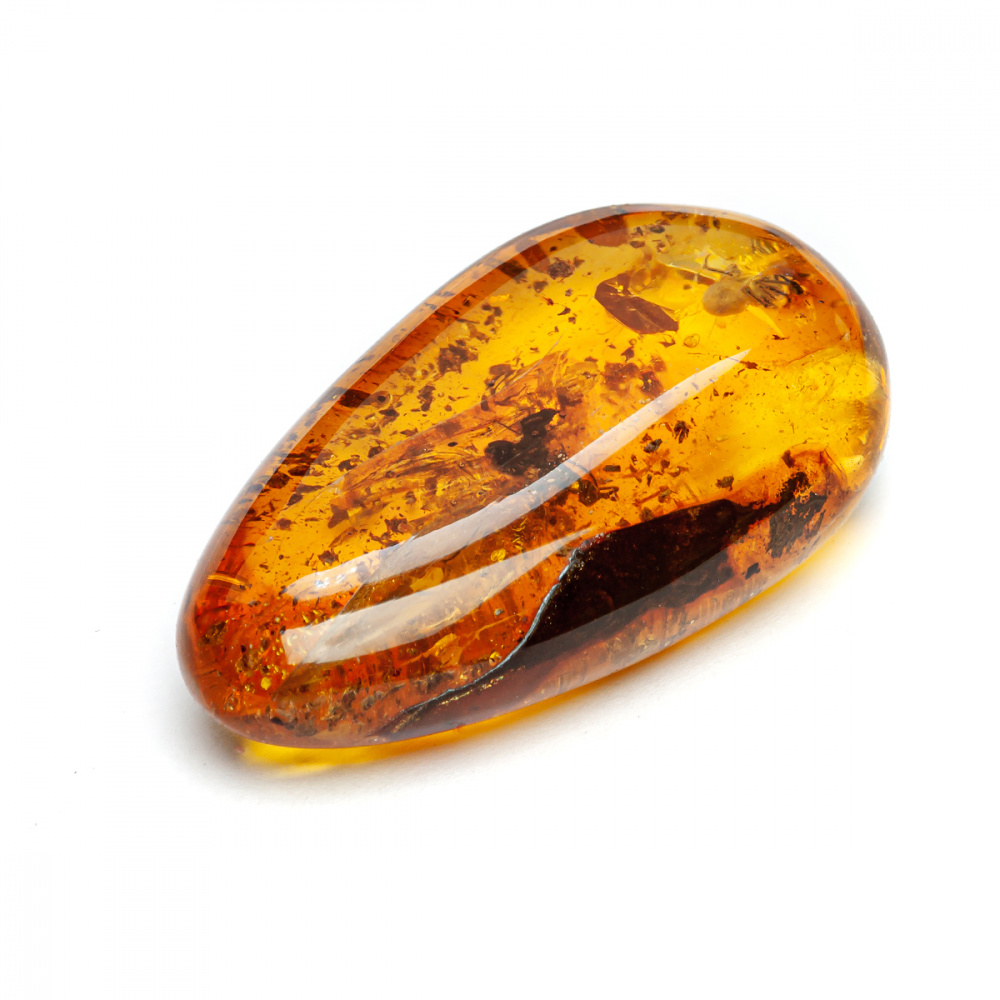 Инклюз Янтарь Инклюз Янтарь