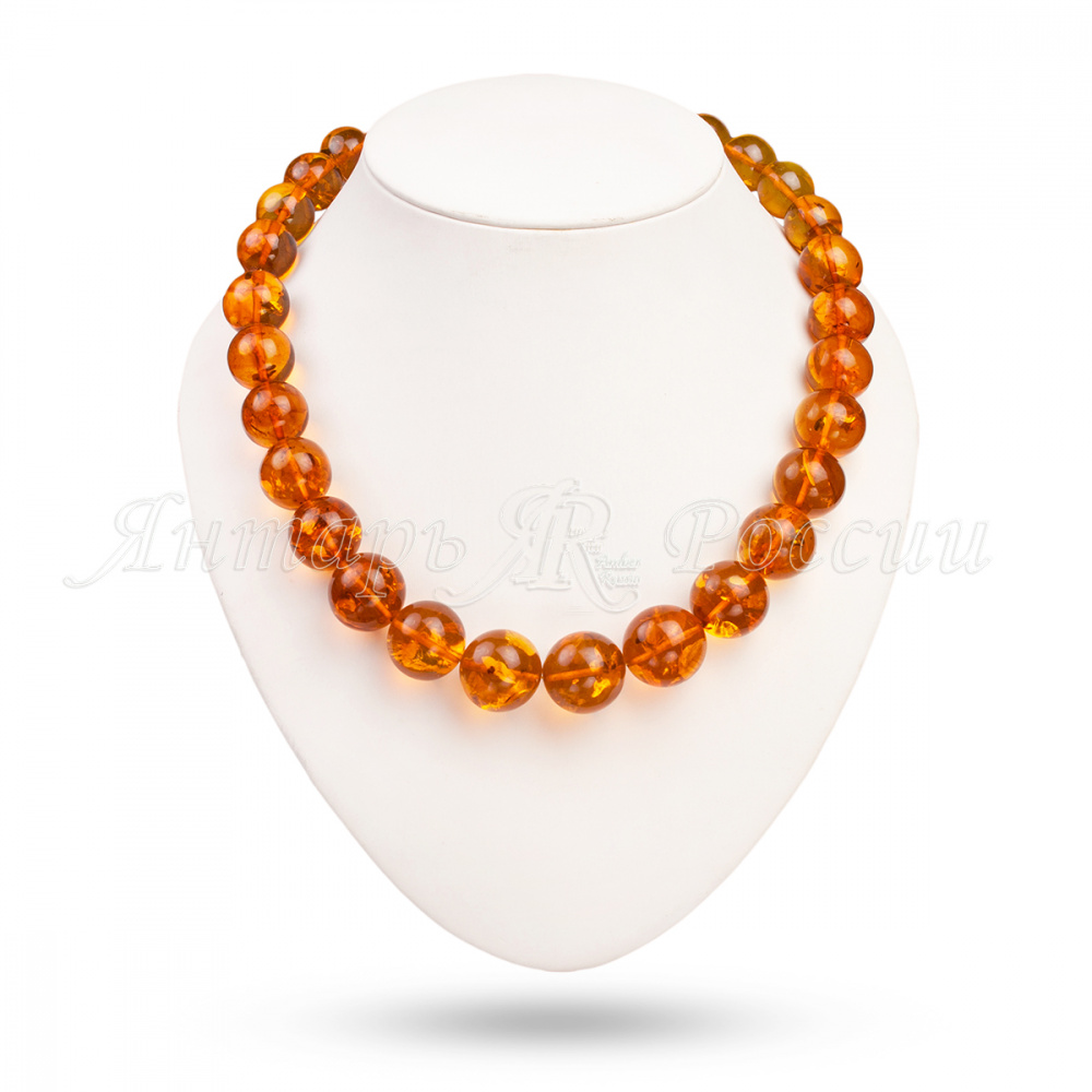 5101077709 5101077709