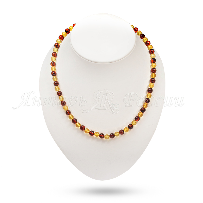 5503000386 5503000386