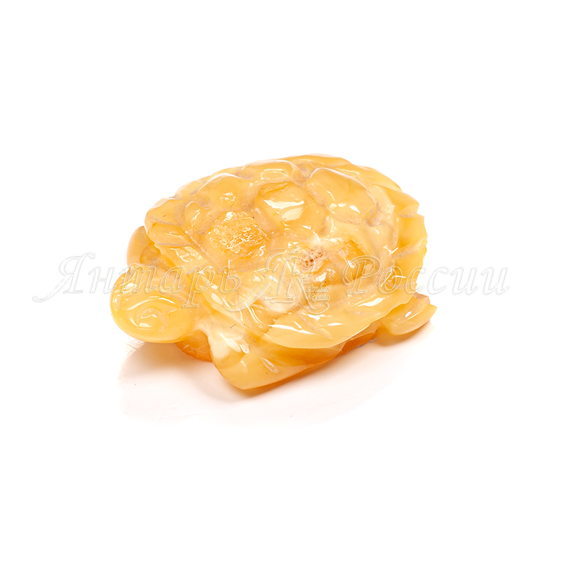 Черепашка Янтарь Черепашка Янтарь