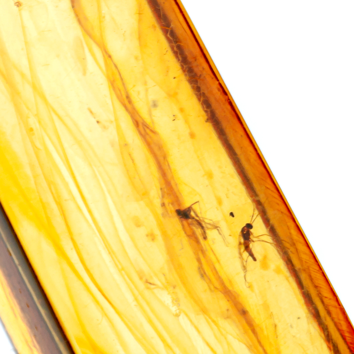 Инклюз Янтарь