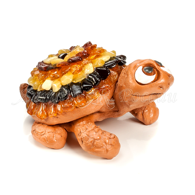 Черепаха Янтарь Черепаха Янтарь